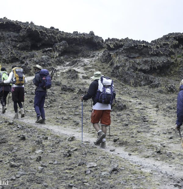 Mount Kenya Sirimon-Sirimon Route (3 Days)
