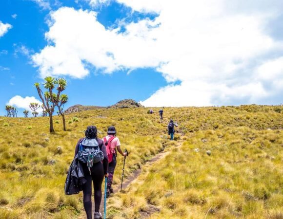 Table Mountain/7 Ponds Traverse