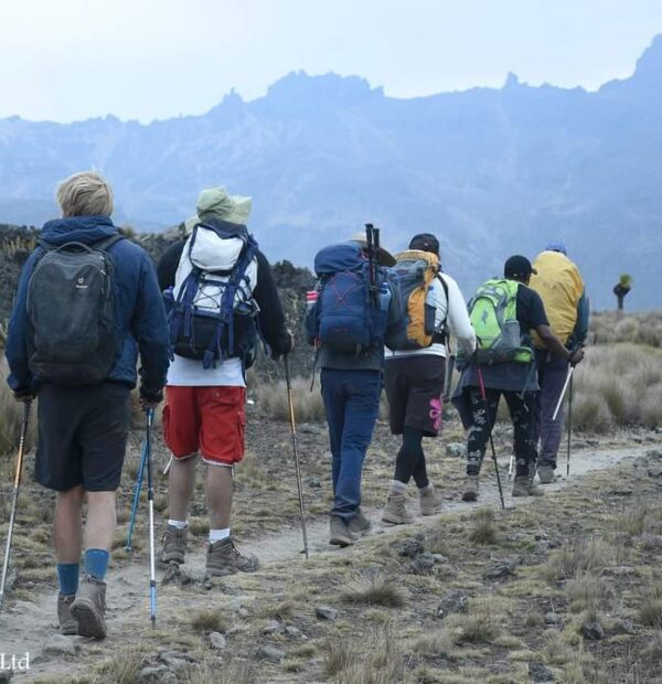 Mount Kenya Naro Moru Route(5 Days)