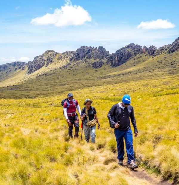 Mount Kenya Timau-Chogoria(5 Days)