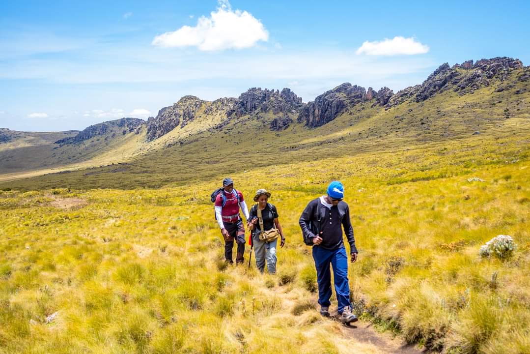 Mount Kenya Timau-Chogoria(5 Days)