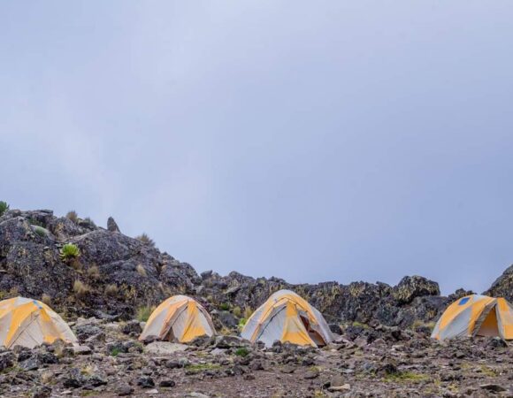 Mount Kenya Sirimon-Naromoru (5 Days)