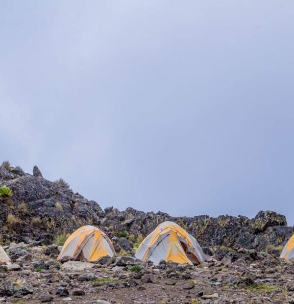 Mount Kenya Sirimon-Naromoru (5 Days)