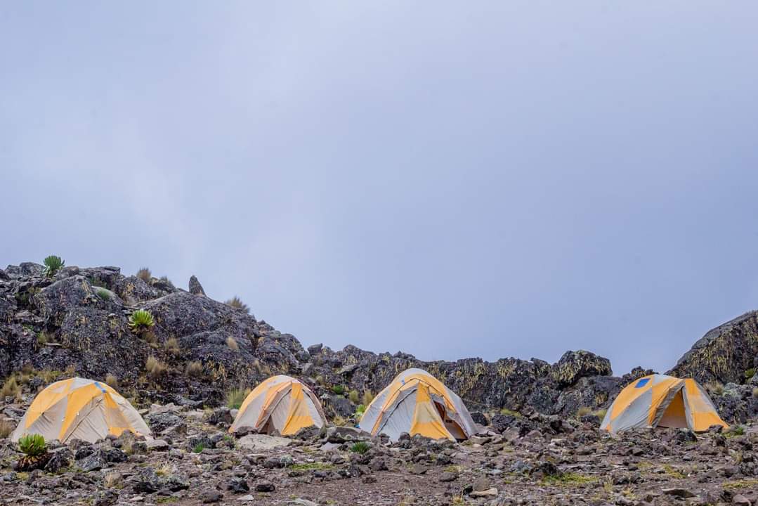 Mount Kenya Sirimon-Naromoru (5 Days)