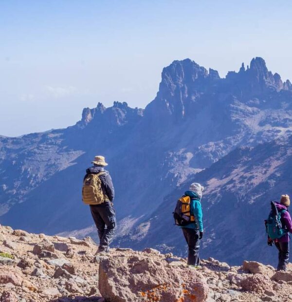 Mount Kenya Naromoru-Sirimon Route (4 Days)