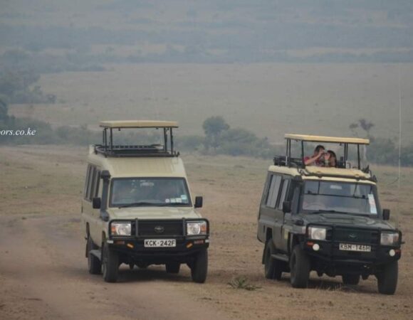 Masai Mara Group Joining Budget Safari