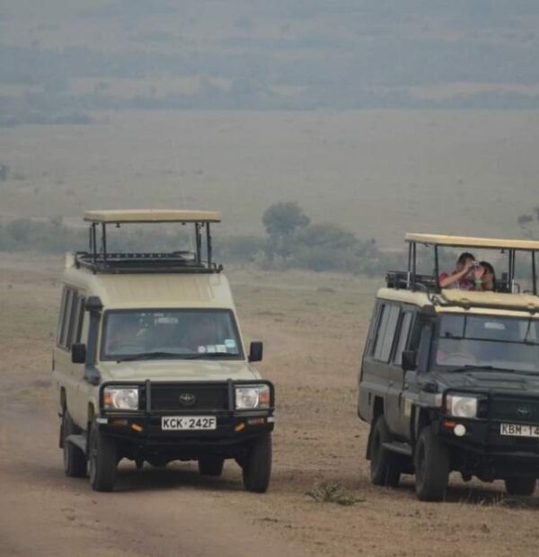 Tarangire, Serengeti& Ngorongoro Crater(4 days)
