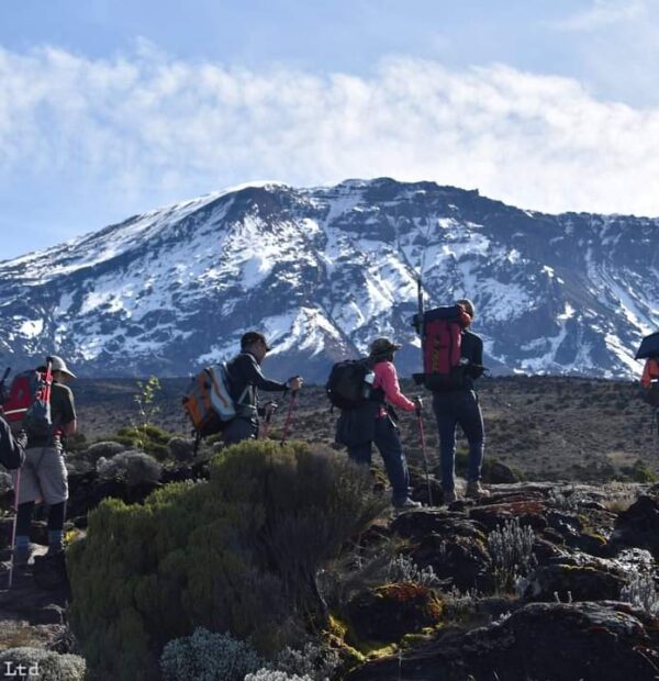 Mount Kilimanjaro Lemosho Route