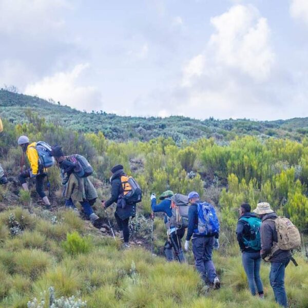 Mount Kenya Day Hike (Likii North)from Nanyuki