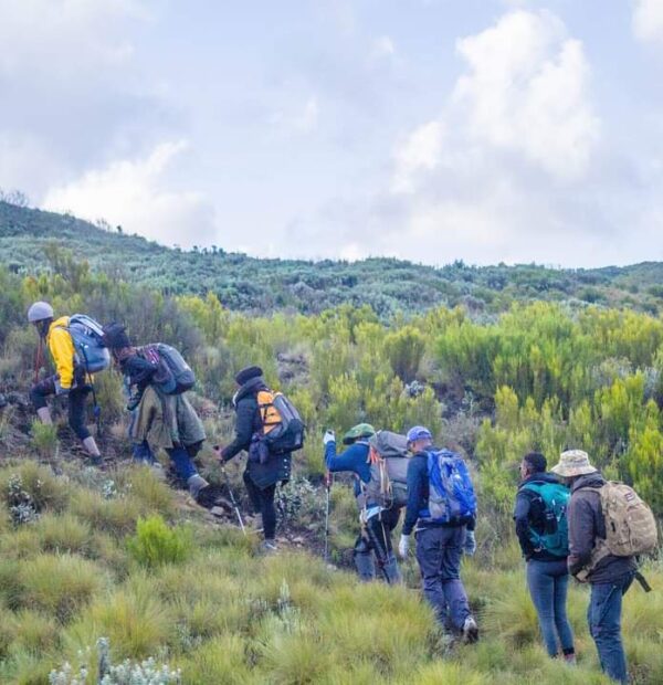 Mount Kenya Day Hike (Likii North)from Nanyuki