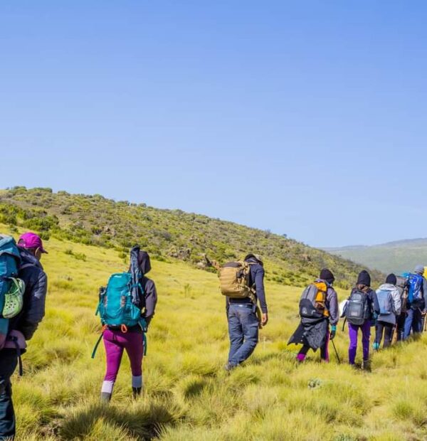 Mount Kenya Chogoria Route & Samburu Safari(6Days)