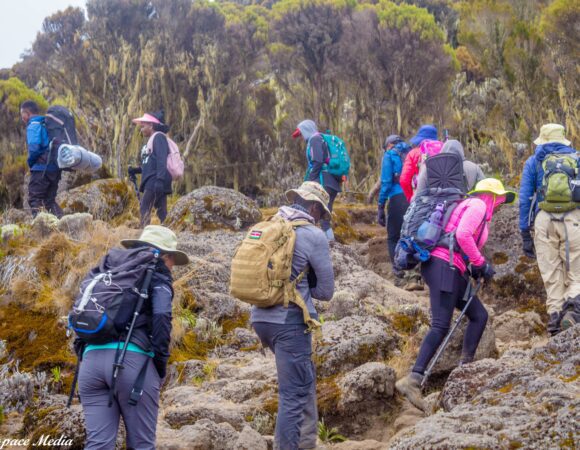 Mount Kilimanjaro Day Hike – Marangu Route