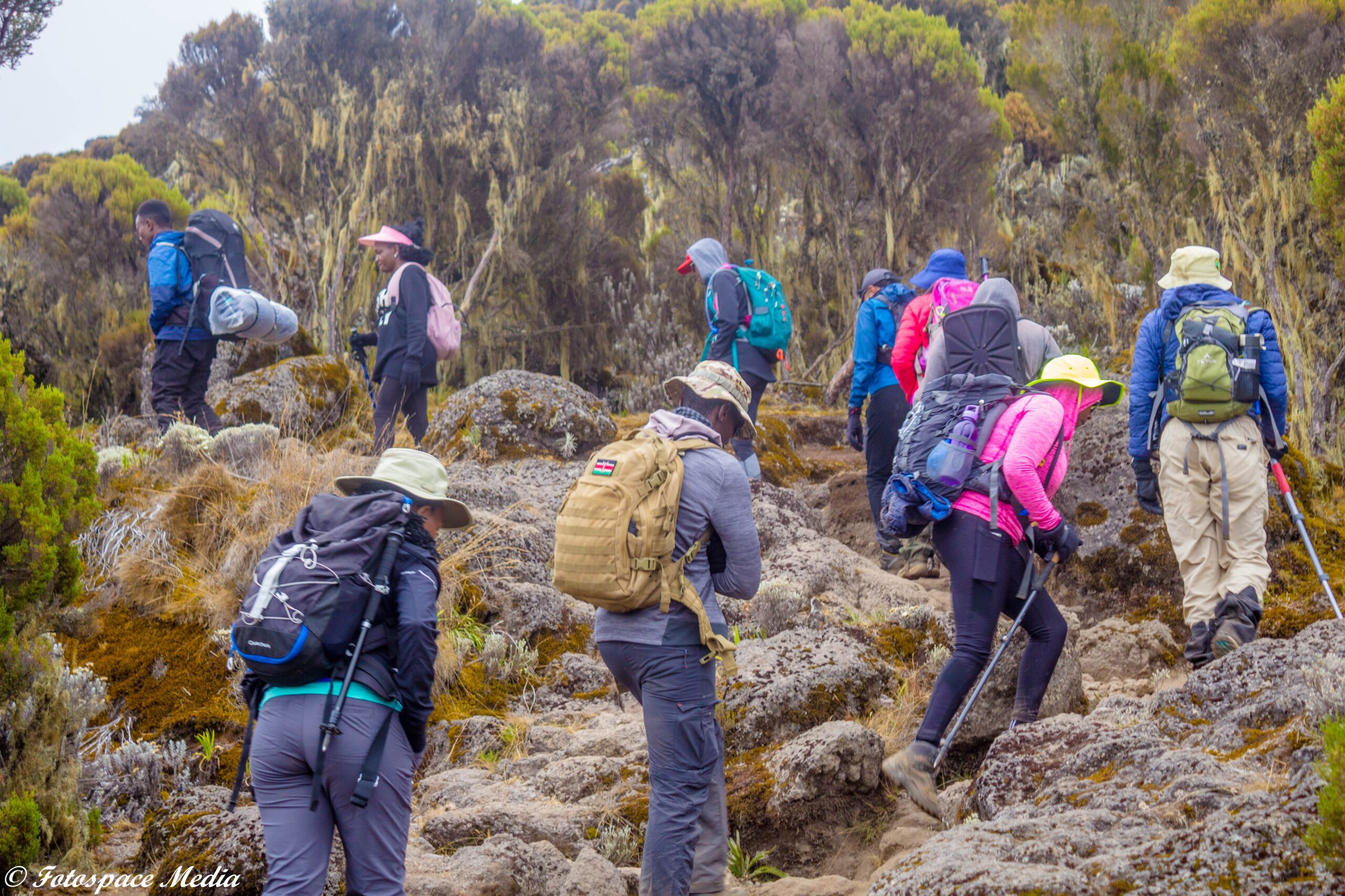 Mount Kilimanjaro Day Hike – Marangu Route