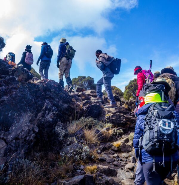 Mount Kenya Naro Moru Route