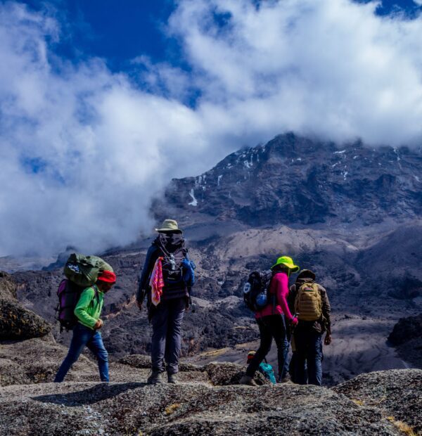 Mount Kilimanjaro Northern Circuit (7-9 Days)