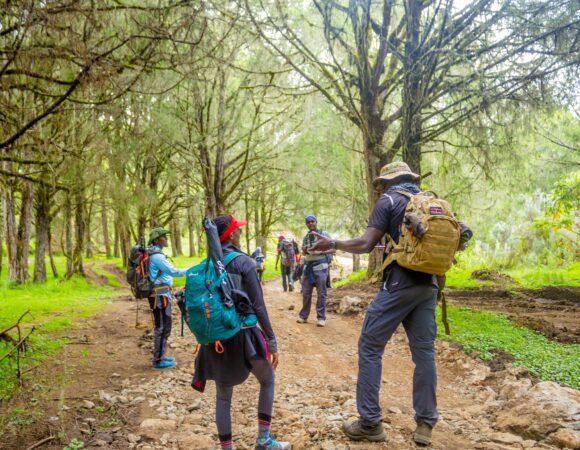 Mount Kenya Lake Ellis/Nithi Falls/Mugi Trek(2 days)