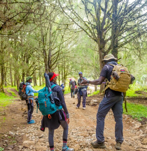 Mount Kenya Lake Ellis/Nithi Falls/Mugi Trek(2 days)