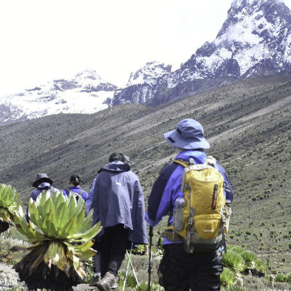 Mount Kenya Sirimon-Sirimon Route & Olpejeta(5 Days)