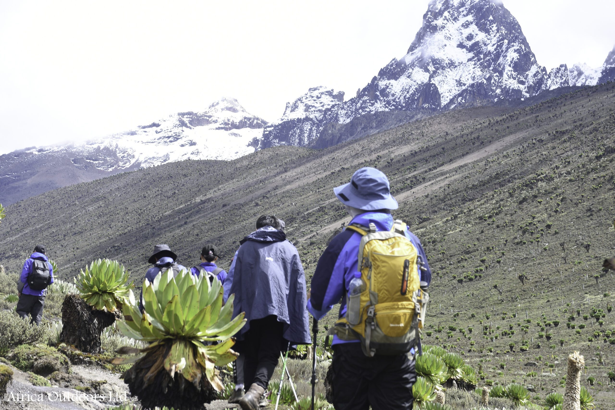 Mount Kenya Sirimon-Sirimon Route (4 Days)