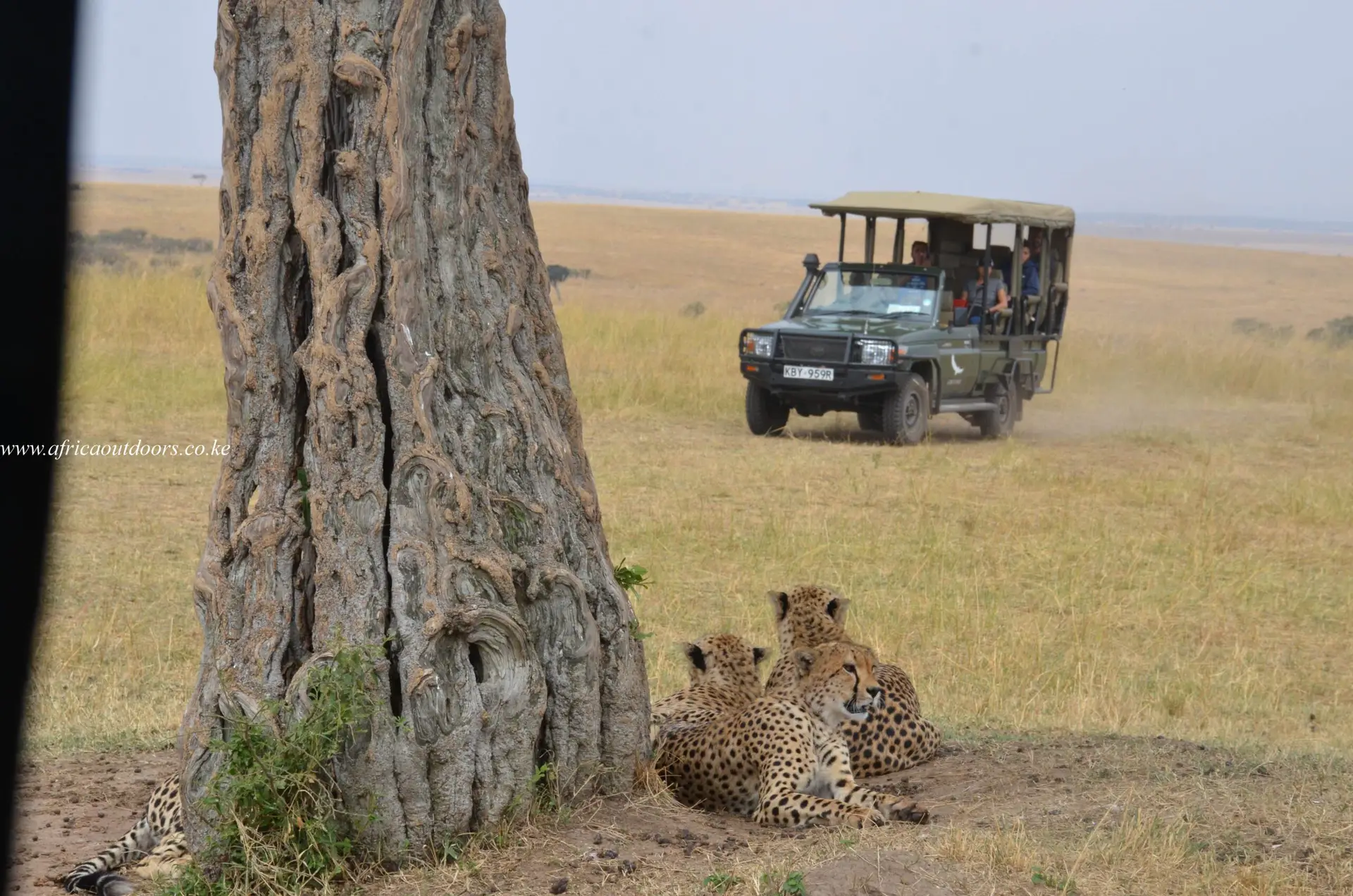 Tanzania