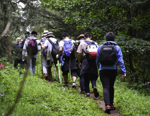 Elephant Hill Day Hike