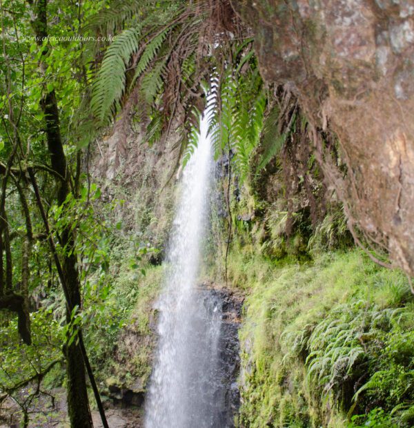 Materuni Waterfalls & Coffee Tour