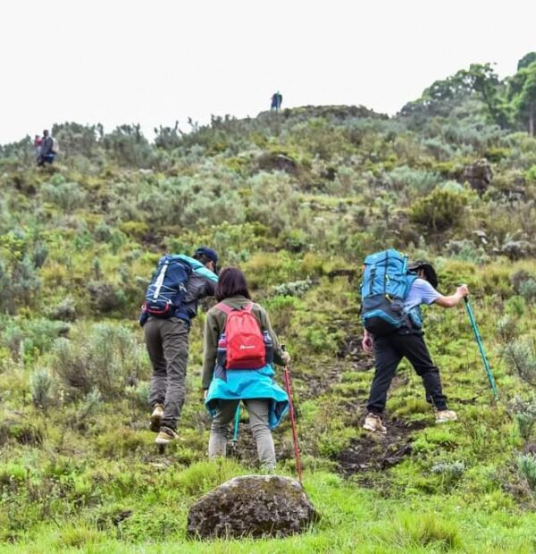 Kijabe Hills Day Hike
