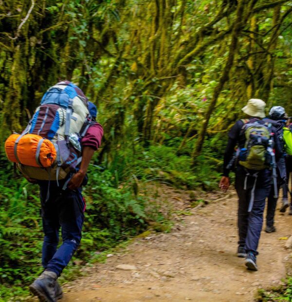 Ngare Ndare Day Hike