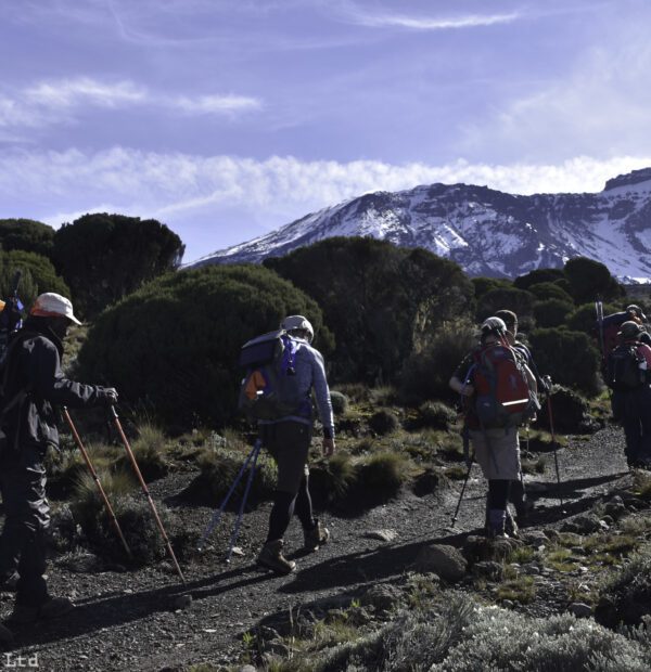 Mount Kenya/Mount Kilimanjaro Climbing(13 days)