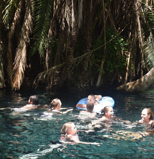 Kikuletwa Hot Spring Day Tour