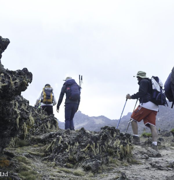 Mount Kenya Likii North Trek(2 Days)