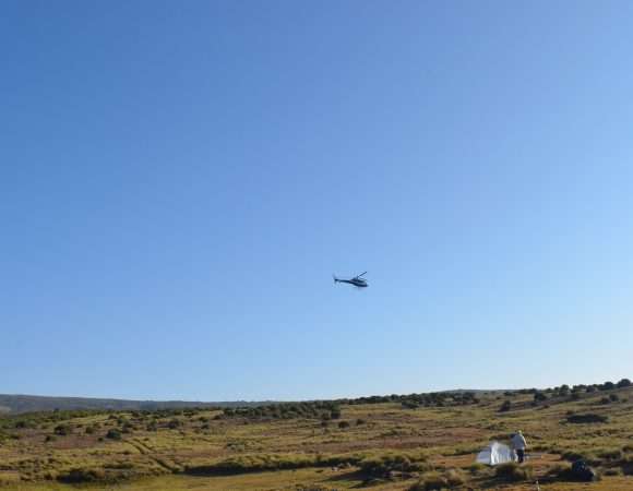 Mount Kenya helicopter Safari(Heli Safaris)-2 Hrs