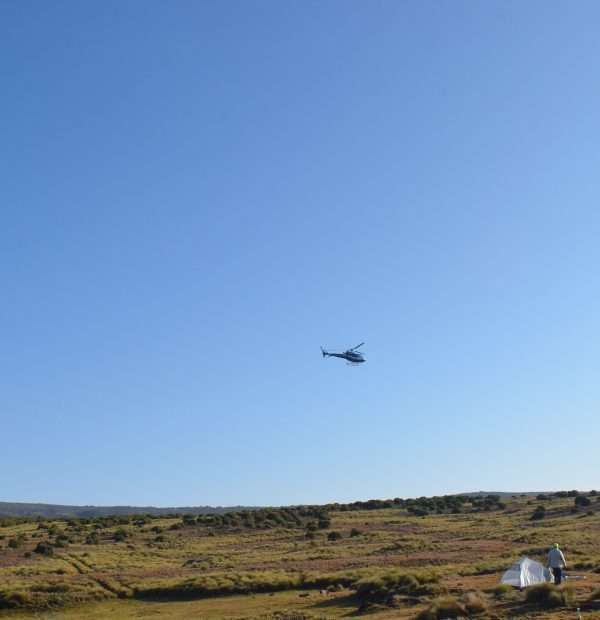 Mount Kenya helicopter Safari(Heli Safaris)-2 Hrs