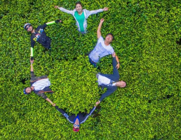Kericho Cycling Tours & Bike Hire Services | Explore Tea Plantations on Two Wheels