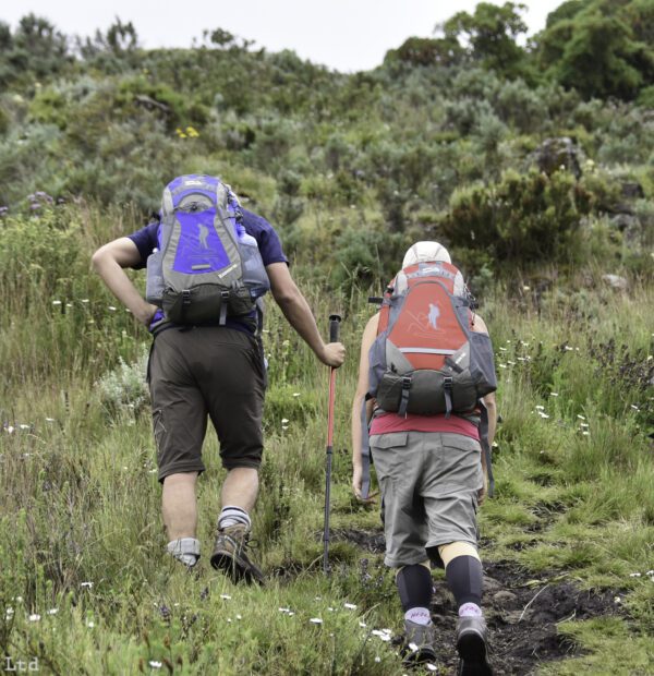 Hiking with new hiking shoes is generally not recommended