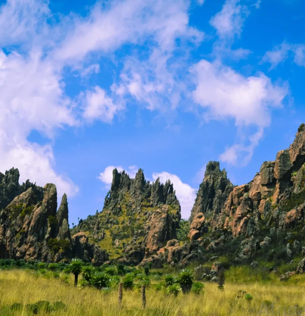 Rock Climbing in Aberdares