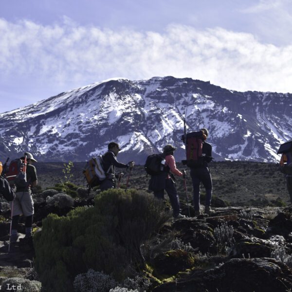 Mount Kilimanjaro Lemosho Route