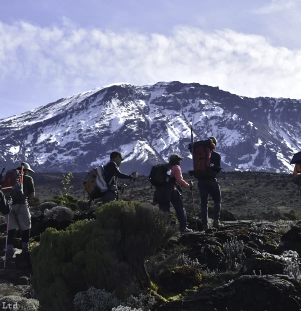 About Mount Kilimanjaro