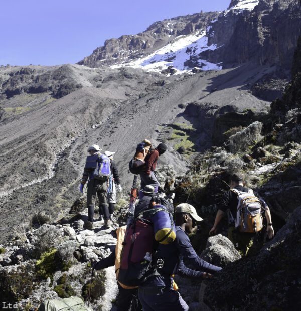 Mount Kilimanjaro Lemosho Route(9 Days)