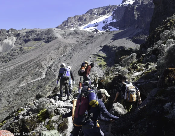 Mt Kilimanjaro Lemosho Route(8 days)