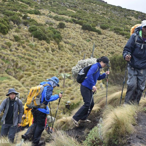 Mount kenya Chogoria-Sirimon Route(7 Days)