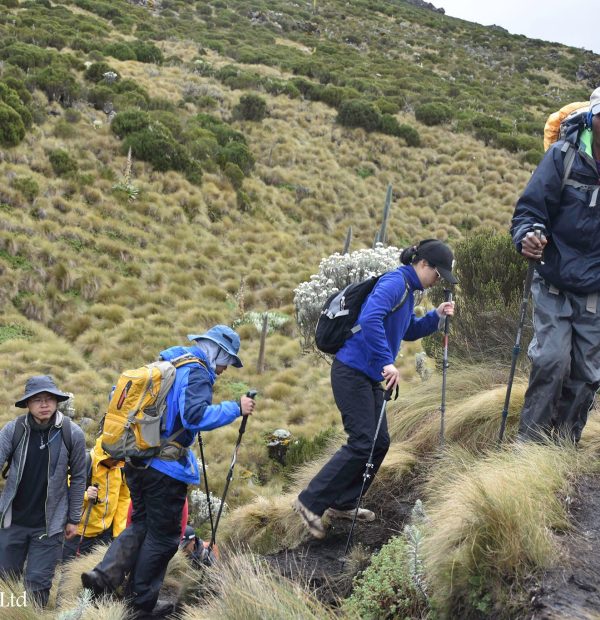 Mount Kenya Challenge Program