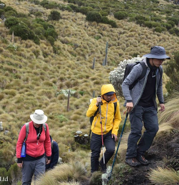 Nairobi-Nanyuki/Karuru Falls/Chania Falls/Queen’s cave/Mount Satima/Dragon’s Teeth/Crescent Island/Hell’s Gate(6 Days)