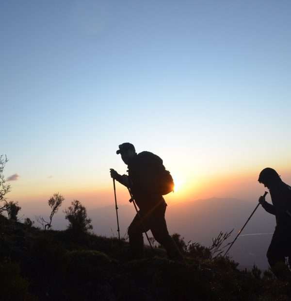 Mount Kenya Charity walks